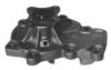 NISSA 2101054CY0 Water Pump